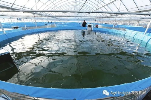 水产养殖业风起 Aquaculture